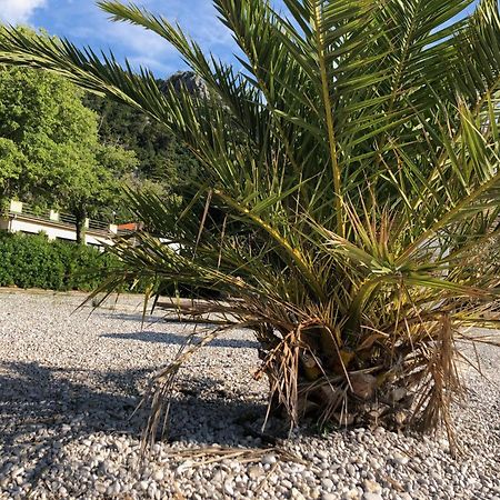 Villa Sabine Apartment Losinj Medveja Luaran gambar